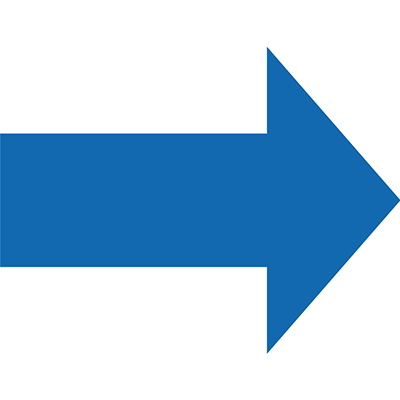 H6901 PermaStripe TL211 Arrow 300mm